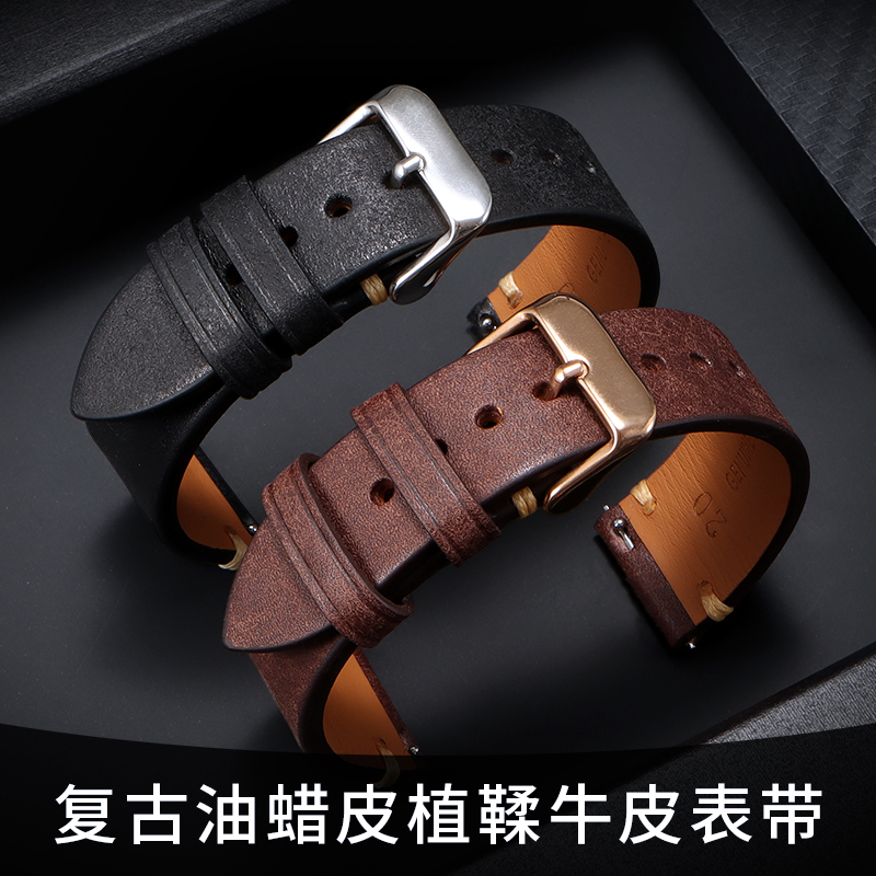 Citizen Genuine Leather Watch  - Citizen Watch Promaster recension och pris
