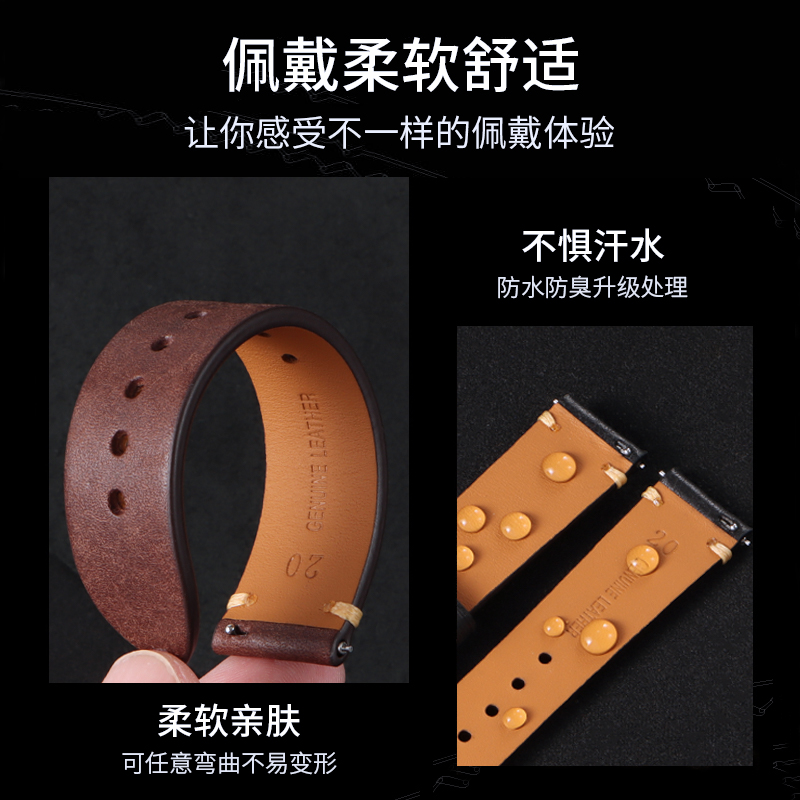 Citizen Genuine Leather Watch  - Citizen Watch Promaster recension och pris