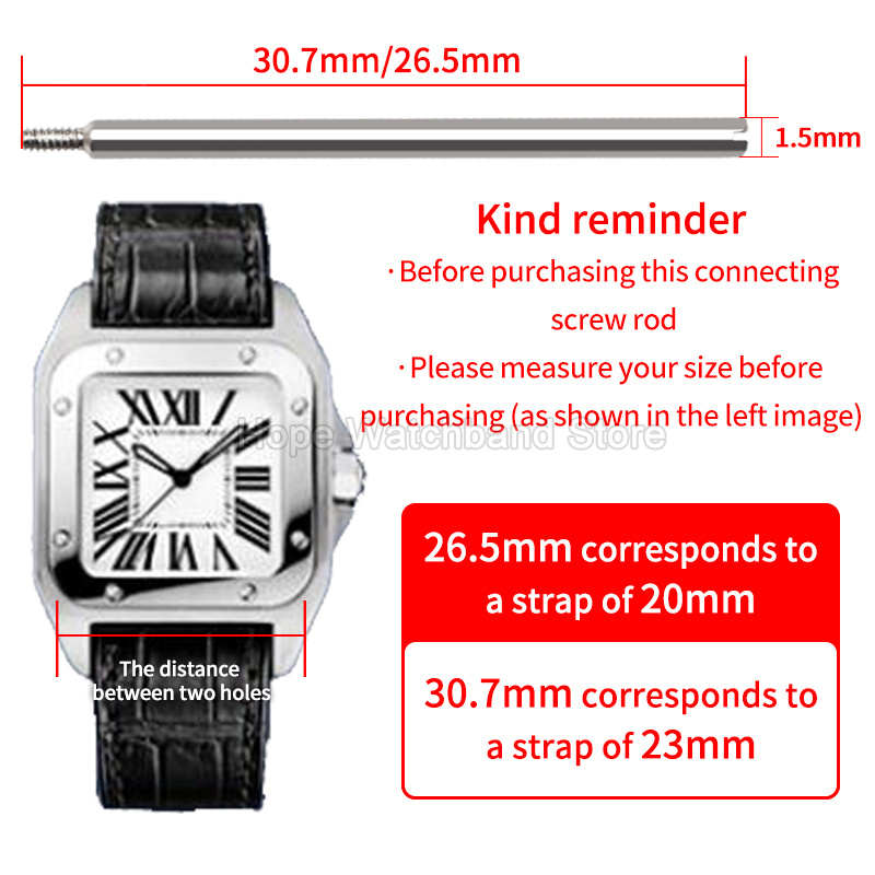 Watchband Screw Connecting Bar - Cartier Watch Santos recension och pris